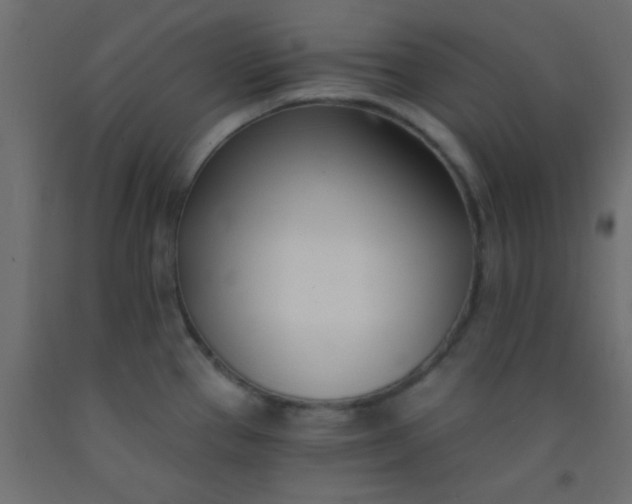 X0000093091337200710101509