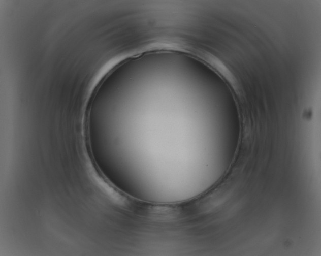 X0000093091339200710101509