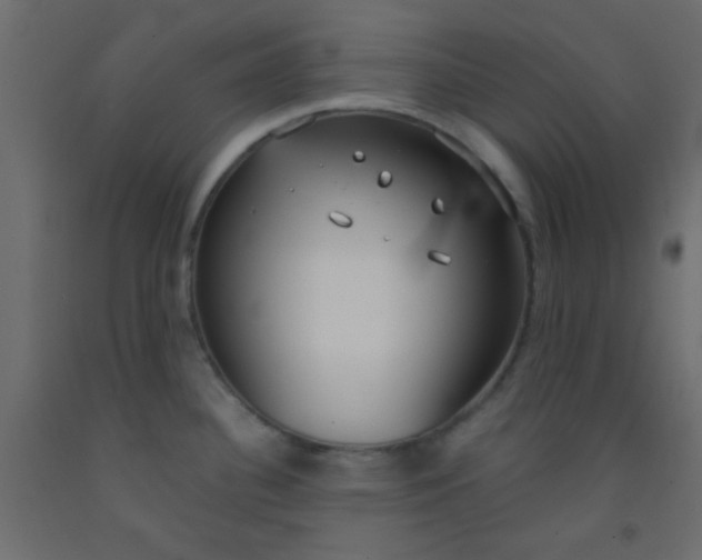 X0000093091340200710101509