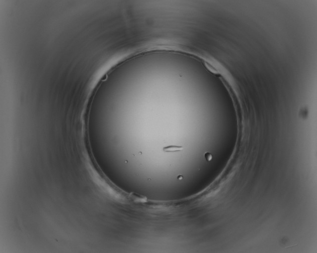 X0000093091341200710101509