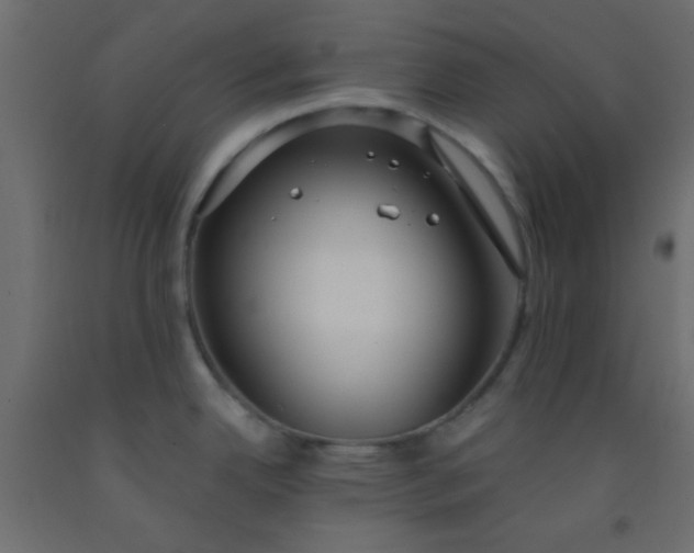 X0000093091342200710101509