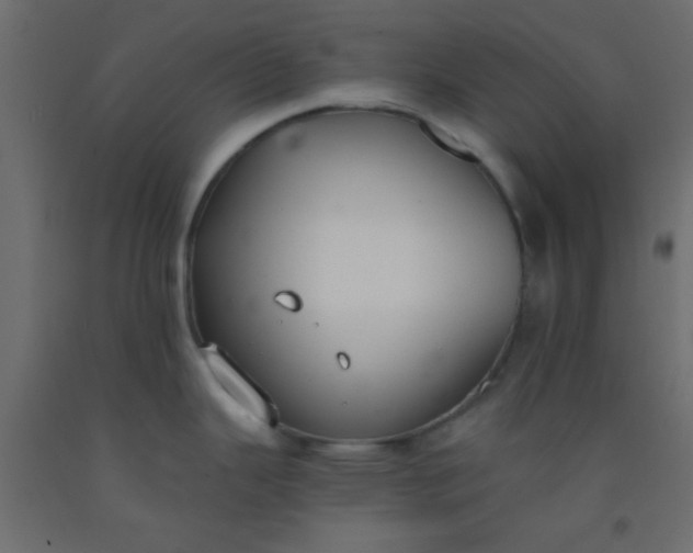 X0000093091343200710101509