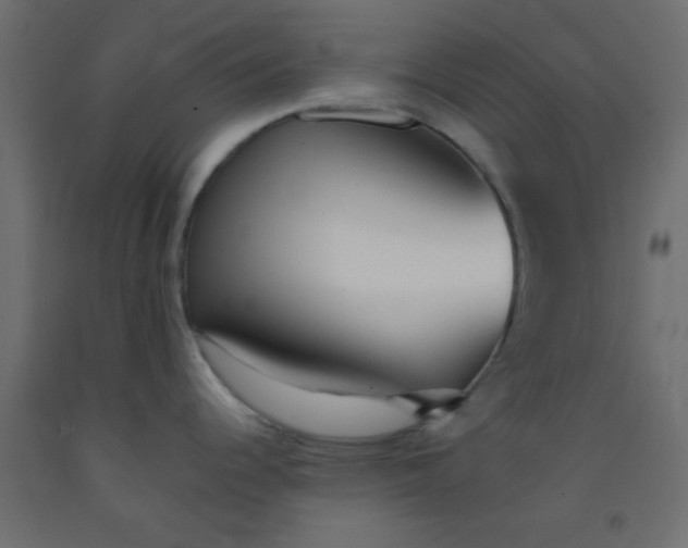 X0000093091344200710101509