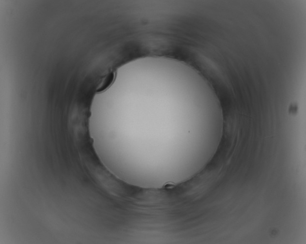 X0000093091346200710101508