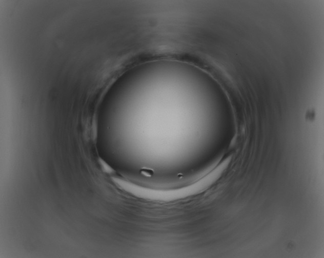 X0000093091348200710101508