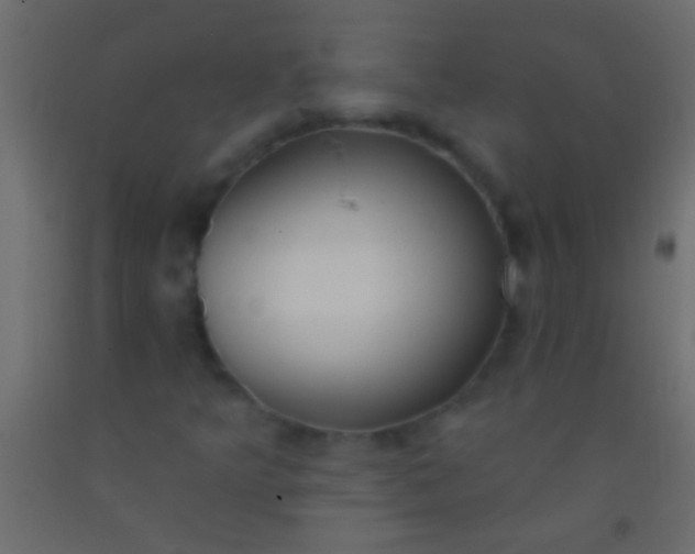 X0000093091349200710101508