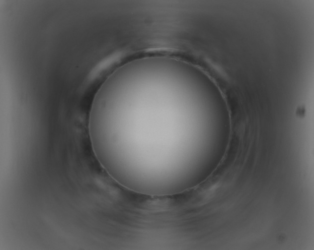 X0000093091351200710101508