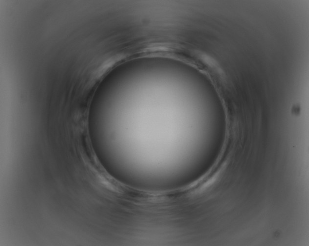 X0000093091353200710101508