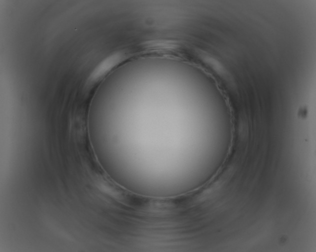 X0000093091354200710101508