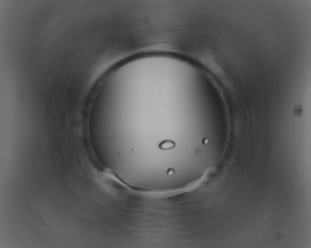 X0000093091356200710101508