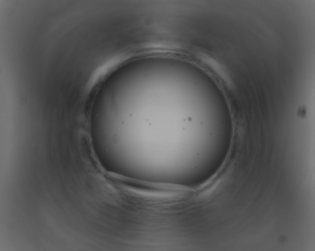 X0000093091357200710101508