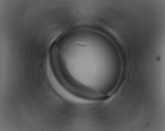 X0000093091361200710101508