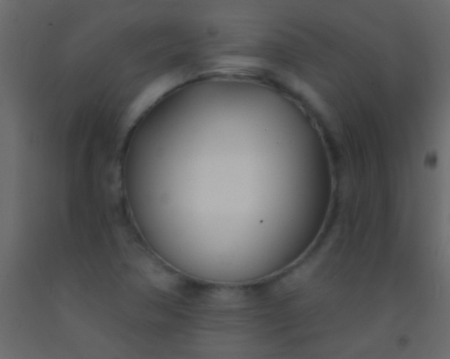 X0000093091362200710101508