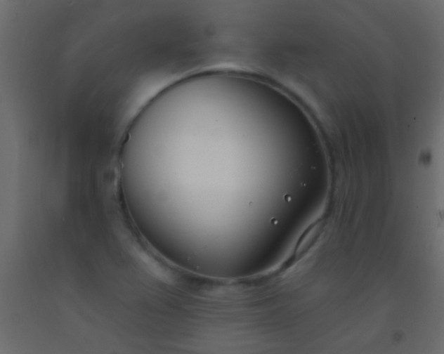 X0000093091367200710101508