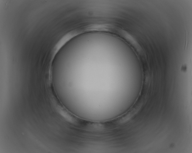 X0000093091370200710101508