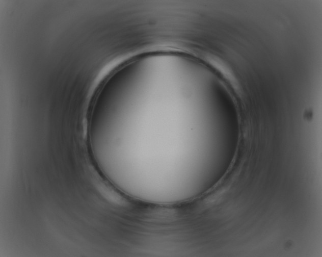 X0000093091372200710101508