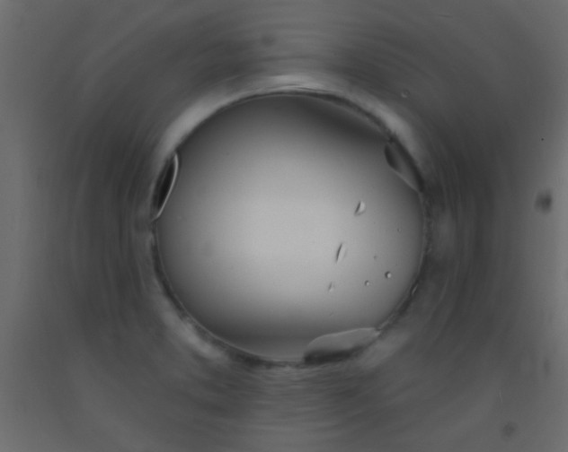 X0000093091373200710101508