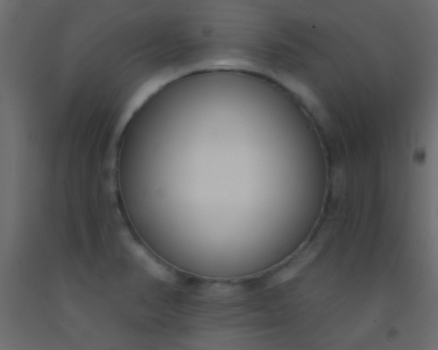 X0000093091374200710101508