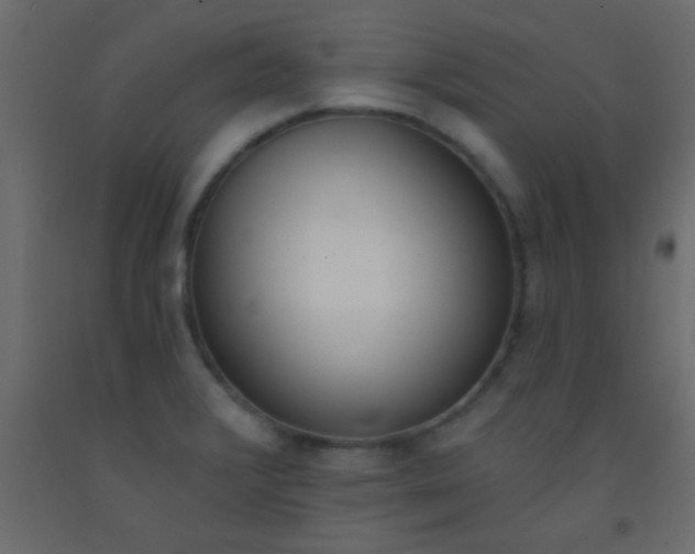 X0000093091376200710101508