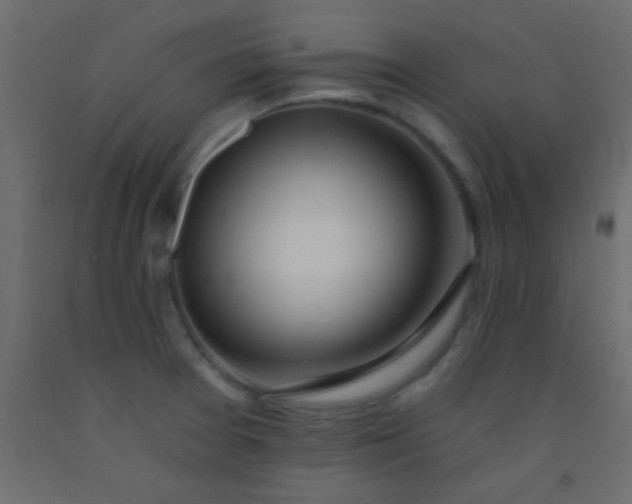 X0000093091377200710101508