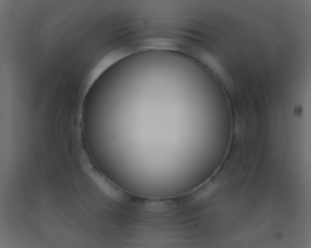 X0000093091378200710101508