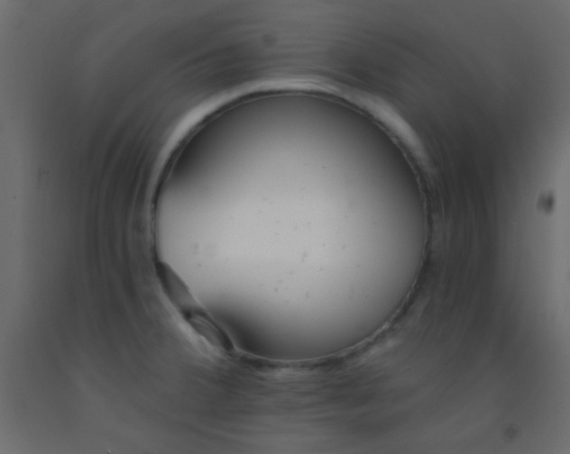 X0000093091380200710101508