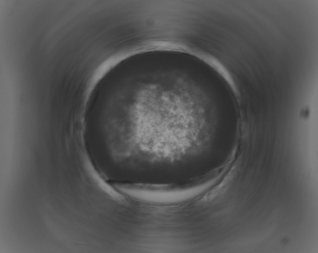 X0000093091381200710101508