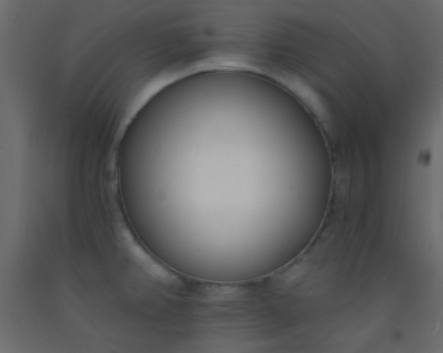 X0000093091382200710101508