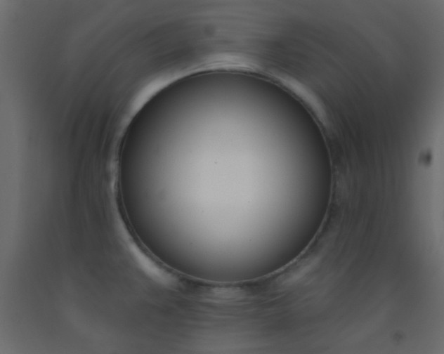 X0000093091383200710101508