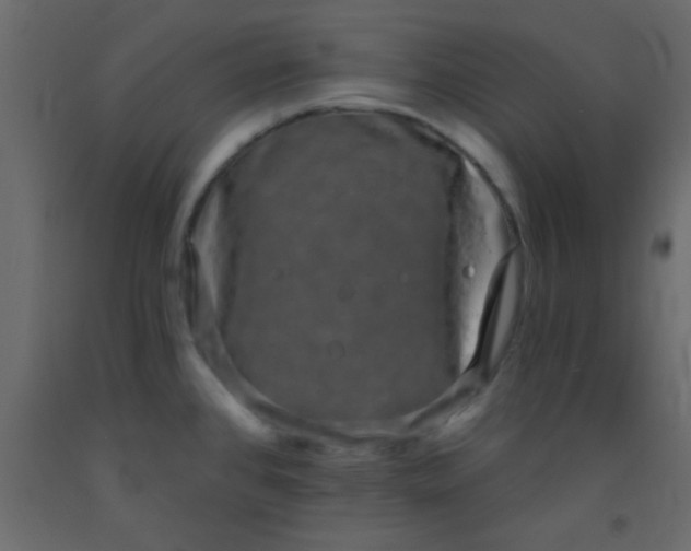 X0000093091384200710101508