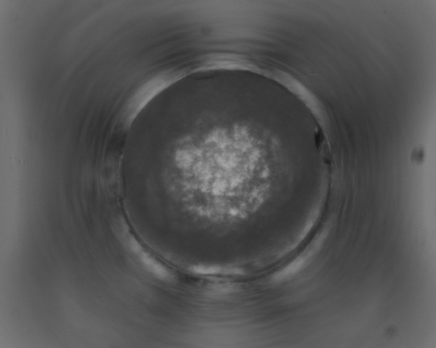 X0000093091385200710101508