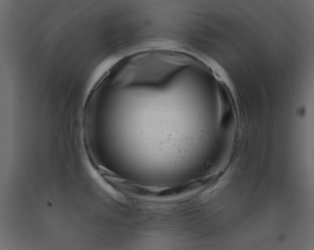 X0000093091389200710101508