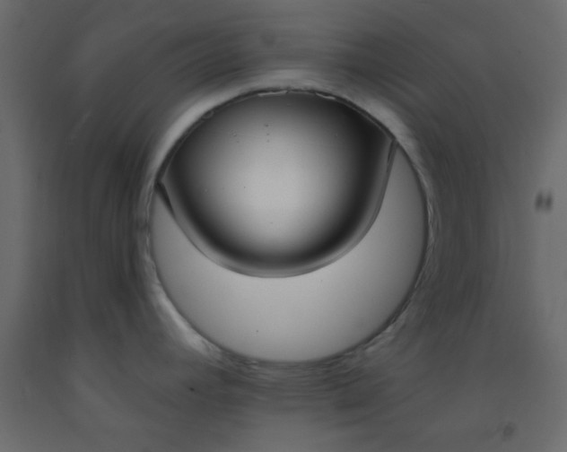 X0000093091392200710101508