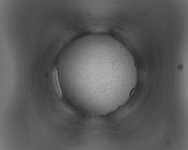 X0000093091393200710101507