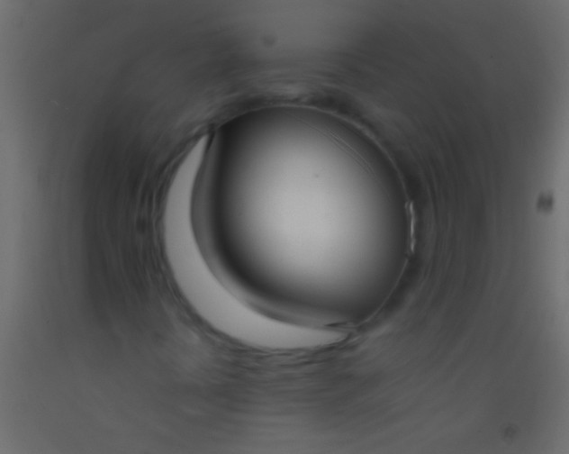 X0000093091394200710101507