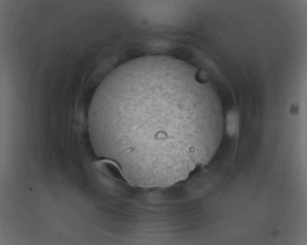 X0000093091395200710101507