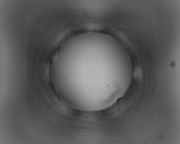 X0000093091396200710101507