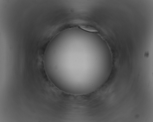 X0000093091397200710101507