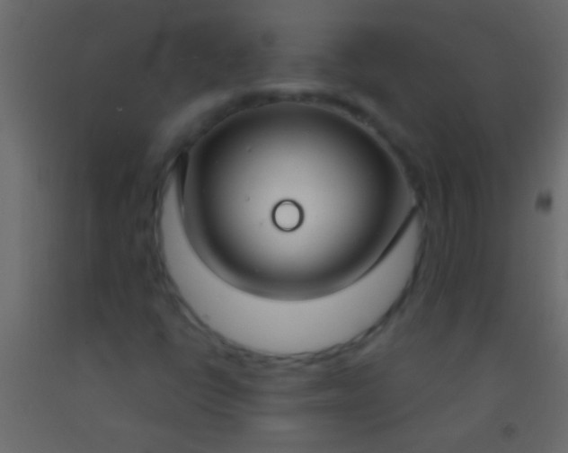 X0000093091398200710101507