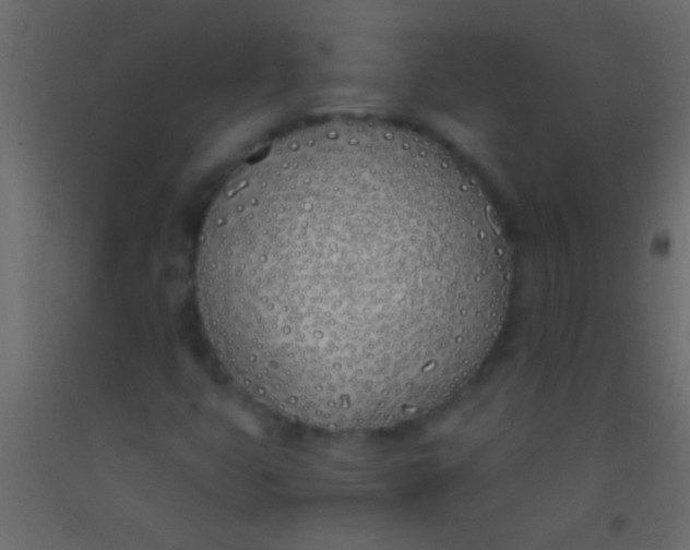 X0000093091399200710101507