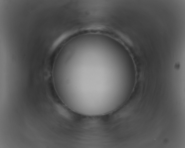 X0000093091400200710101507