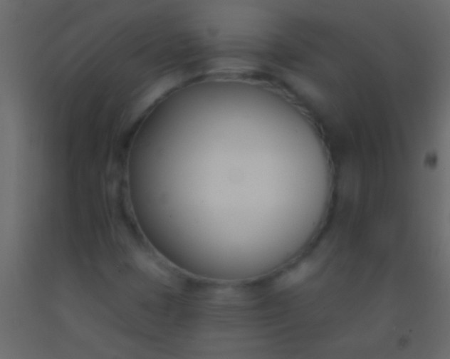 X0000093091401200710101507