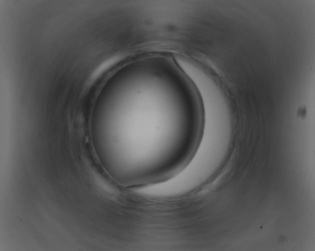 X0000093091402200710101507