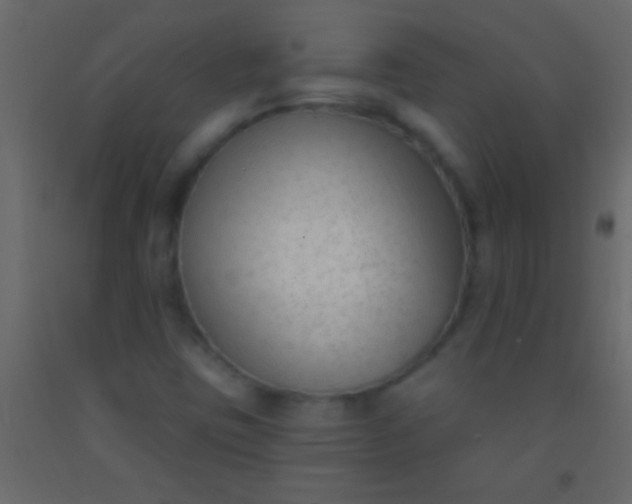 X0000093091403200710101507