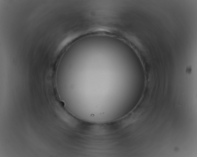 X0000093091404200710101507