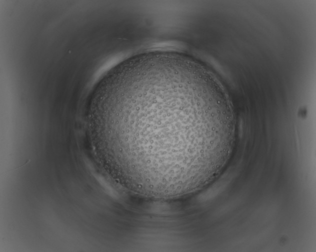 X0000093091405200710101507