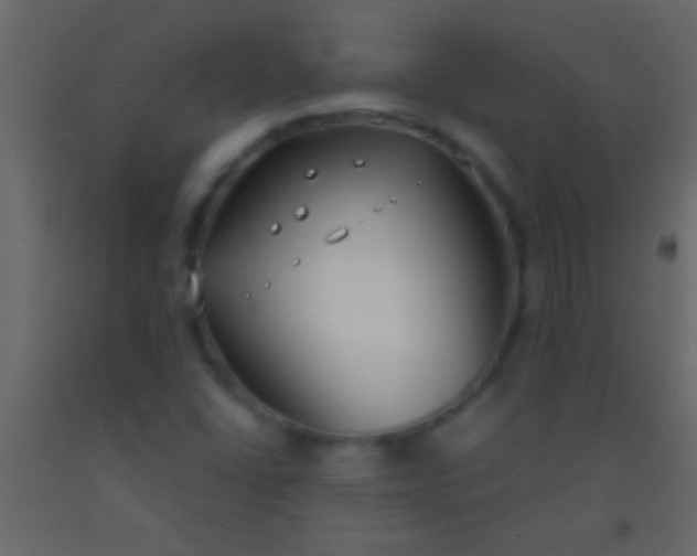 X0000093091406200710101507