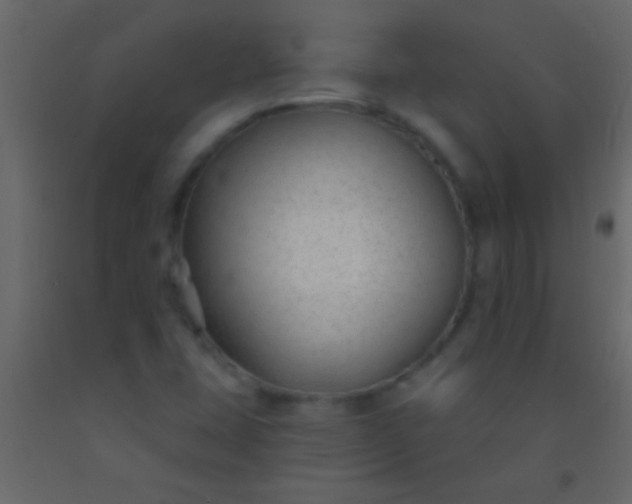 X0000093091407200710101507