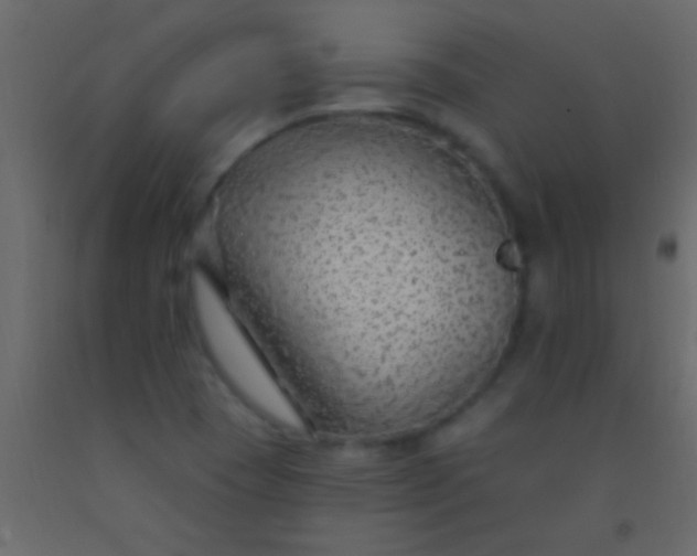 X0000093091409200710101507