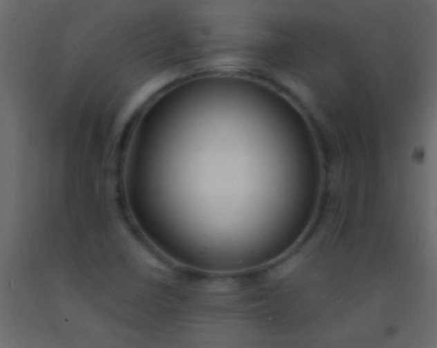 X0000093091410200710101507